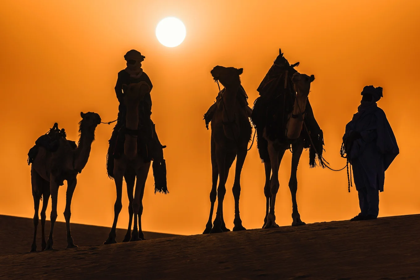 Silhouettes: camels, people; orange sky; sun setting.